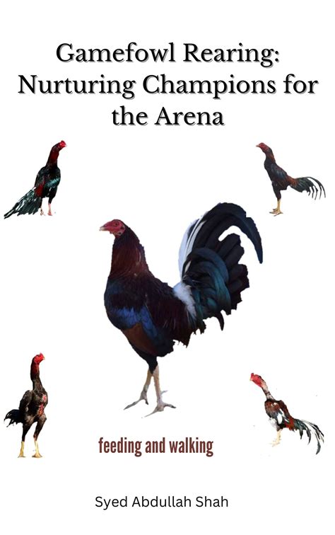 gamefowl conditioning training.